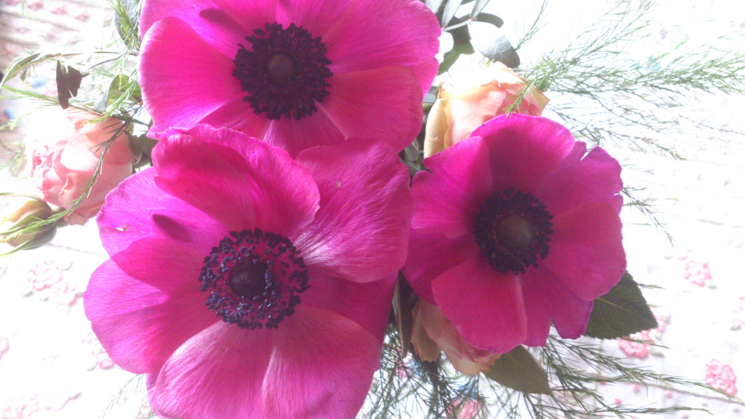 villa-musica weinheim